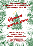 Rozsvícení vánočního stromu